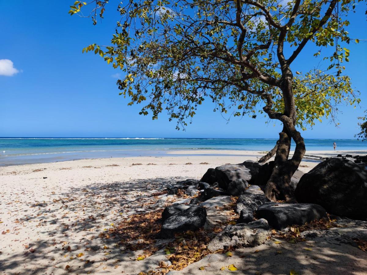 Mon Petit Paradis Flic en Flac Luaran gambar